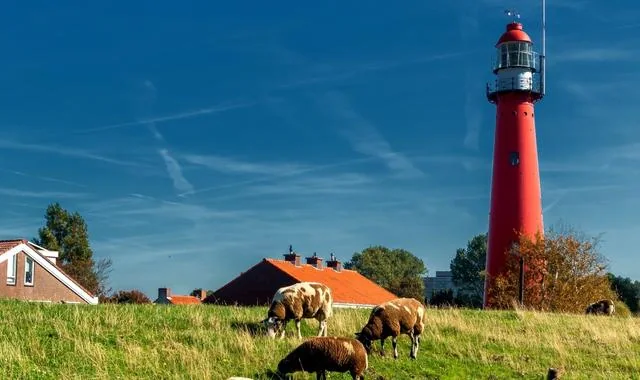 Hoek van Holland Strand, Dünen und Nordseeküste in den Niederlanden